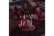 Opal Rose ProPhoto 7 Template, a Websites & App Template by Red Met Yellow Creative (Thumbnail 15 of 15)
