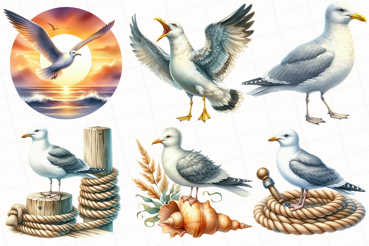 Watercolor Summer Seagulls Clipart, an Illustration by OK Design (Photo 4 of 5)