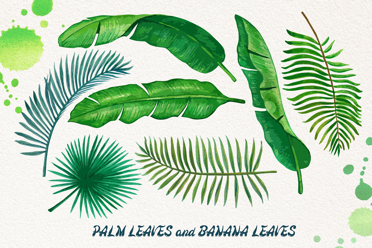 Palm and Banana Leaves Patterns, a Pattern Graphic by Graphobia (Photo 2 of 7)