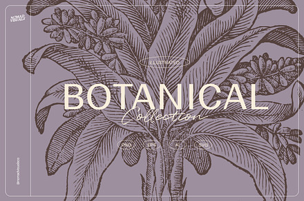 The Botanical Collection, an Object Graphic by Nomad Visuals