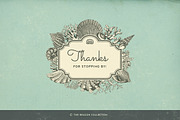 SALE! 100 Sealife Illustrations, an Animal Illustration by Anja Kaiser (Thumbnail 5 of 6)