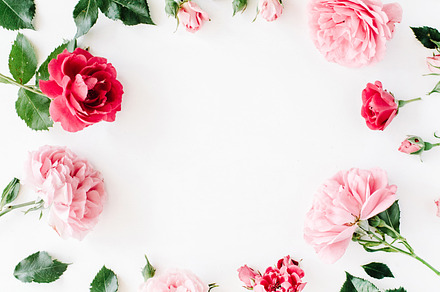 Floral frame with roses stock photo containing roses and leaves, a Nature Photo by Floral Deco
