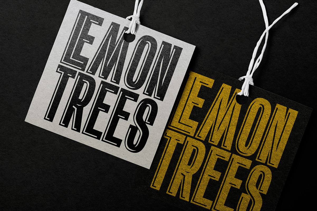 Blacked, a Sans Serif Font by Almeera Std (Photo 5 of 6)