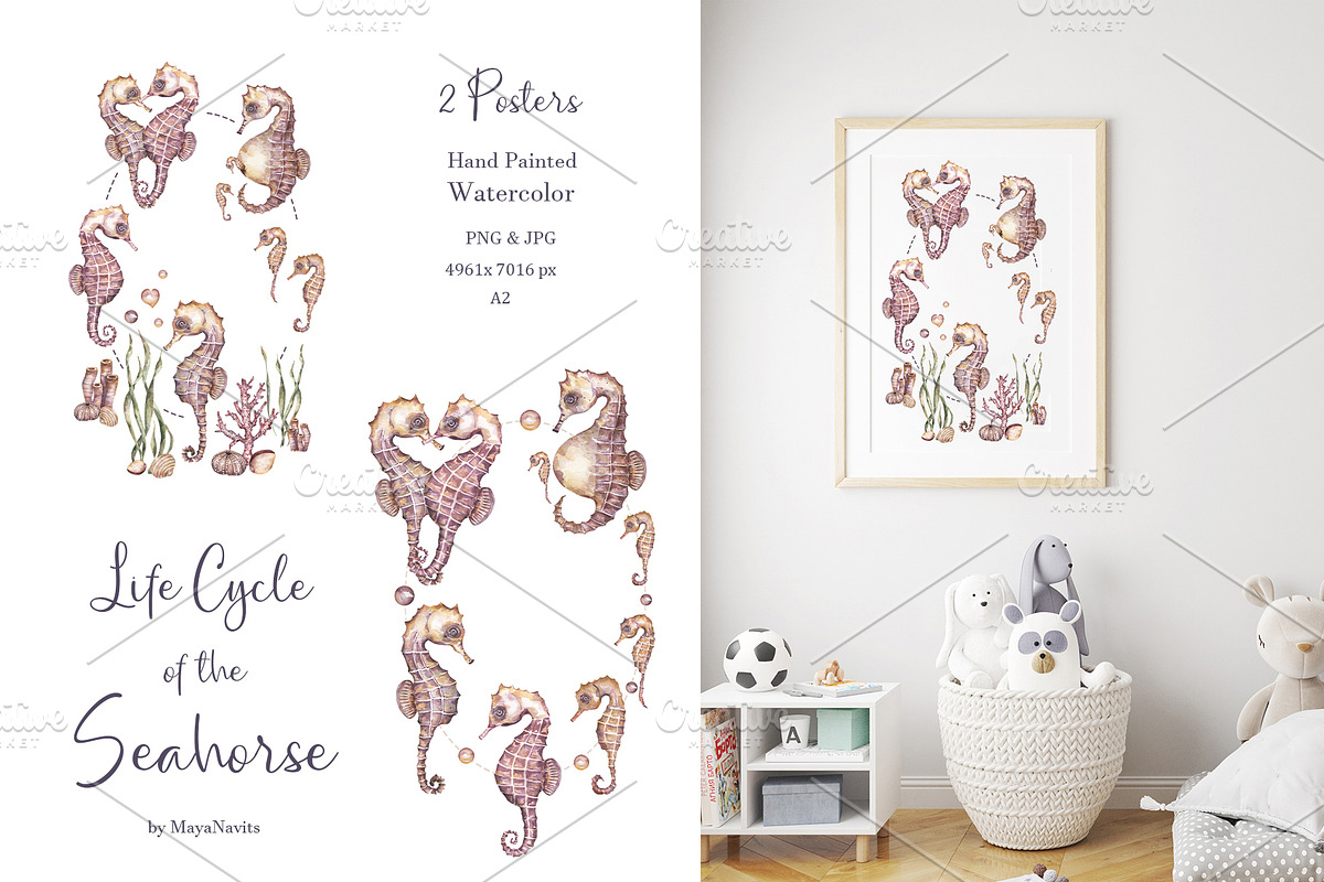 Watercolor Seahorse Life Cycle Set, an Animal Illustration by MayaNavits (Photo 3 of 5)