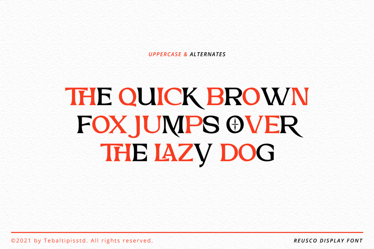 Reusco - Display Typeface, a Serif Font by tebaltipislab (Photo 5 of 15)