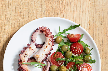 salad with octopus, tomatoes, a Food & Drink Photo by Ivanna