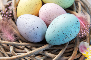 Pastel easter eggs in nest with spring flowers, a Holiday Photo by Olena Rudo