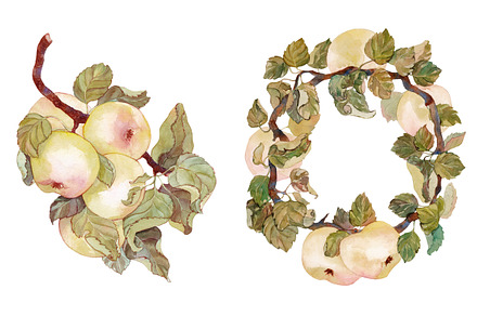 Watercolor apples