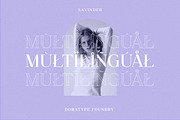 Savinder, a Serif Font by Dora Typefoundry (Thumbnail 13 of 13)