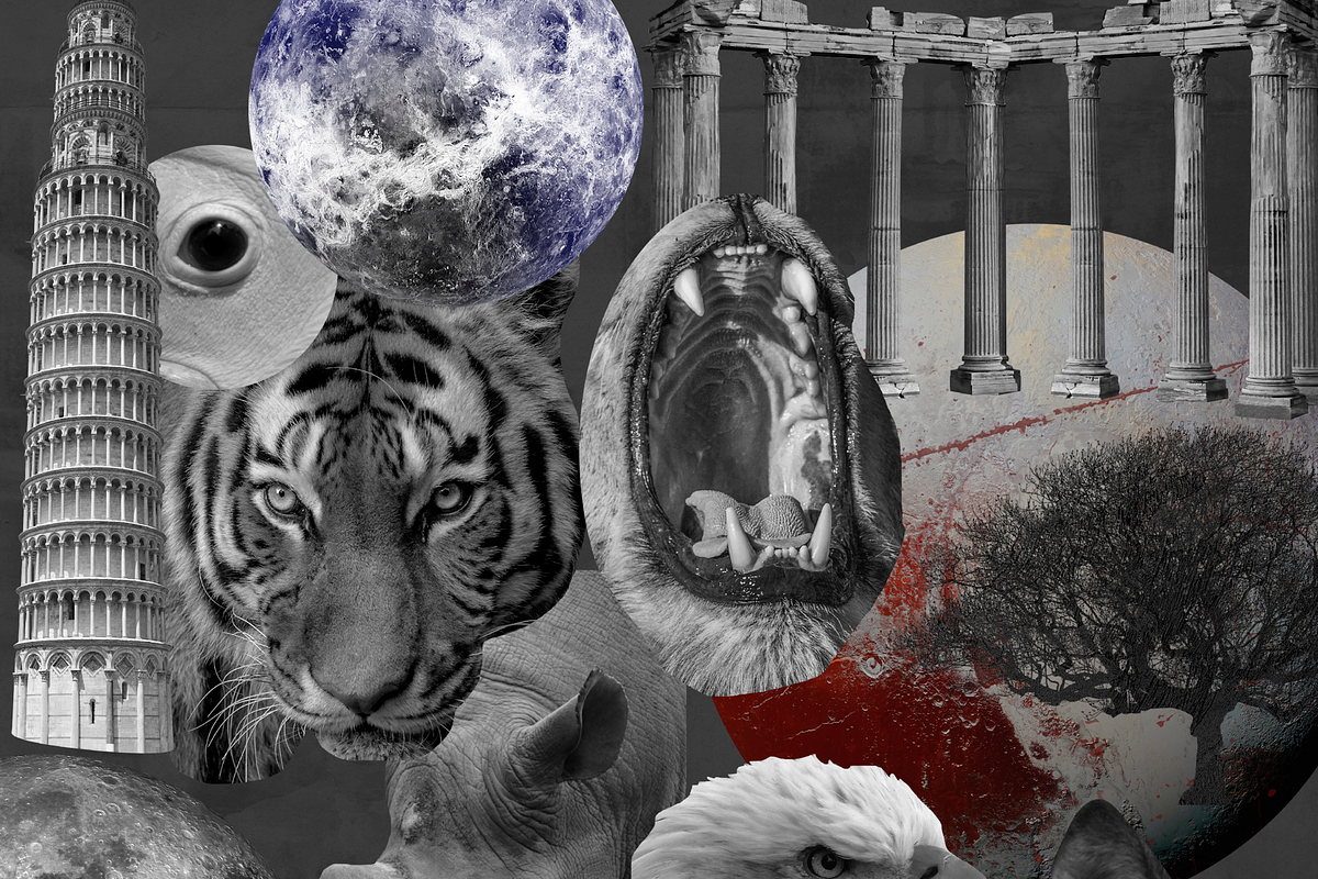 MONOCHROME collage pack, an Object Graphic by Natali Batu (Photo 15 of 31)