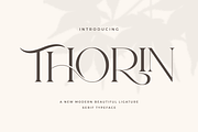 Thorin - Beautiful Serif Font, a Serif Font by Aqeel_Art (Thumbnail 1 of 12)