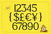 Enkyfa Serif Display Typeface, a Serif Font by timelesstype.co (Thumbnail 8 of 15)