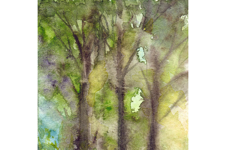 Watercolor tree foliage forest wood