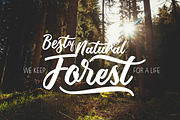 Mothica Script, a Script Font by Olexstudio (Thumbnail 3 of 6)