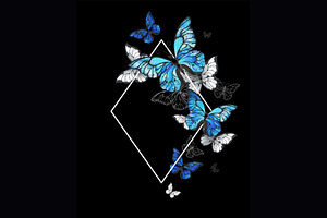 Rhombus Butterflies Morpho