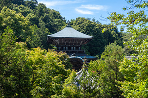 Daisho-in Temple nestled in forest on Miyajima Island, Japan, an Architecture Photo by GoodGoods