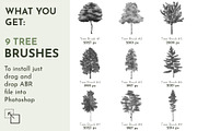 Photoshop Brush Set ABSTRACT TREE, a Brush Add-On by archibicc (Thumbnail 3 of 5)