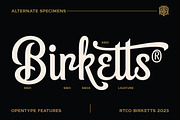 Birketts - Classy Motorcycle Font, a Script Font by Roams Type (Thumbnail 3 of 8)