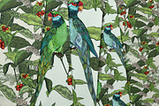 Rainforest jungle pattern parrots, a Wallpaper Graphic by FleurArt (Thumbnail 9 of 10)