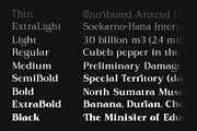 Rodest - Font Family, a Serif Font by Graptail (Thumbnail 10 of 13)