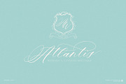 Bonami Font, a Script Font by Ivan Rosenberg (Thumbnail 4 of 11)