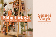 March - Elegant Serif Font, a Serif Font by din-studio.com (Thumbnail 9 of 21)