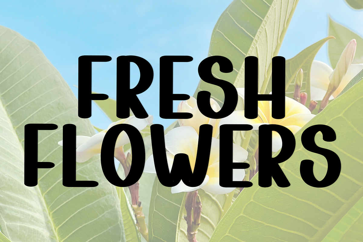 Tropical Summer, a Script Font by FreshTypeINK (Photo 7 of 8)