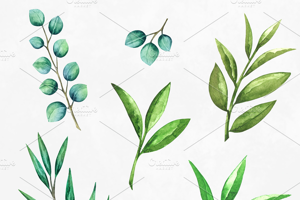 Watercolor Green Leaves, a Healthcare Illustration by Color_Brush (Photo 3 of 8)