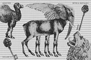 MONSTERVERSE Collage Set, an Object Graphic by angelainthefields (Thumbnail 8 of 11)