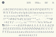 Renly Pixel, a Serif Font by Craft Supply Co. (Thumbnail 8 of 8)