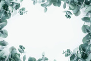 99 Frames of green leaves, a Nature Photo by Handmadefont (Thumbnail 67 of 100)