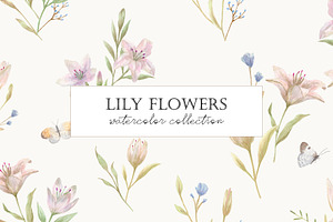 Lily Flowers. Watercolor Cliparts