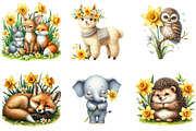 Daffodils Flowers Clipart, an Illustration by DreamArtGraphic (Thumbnail 4 of 5)