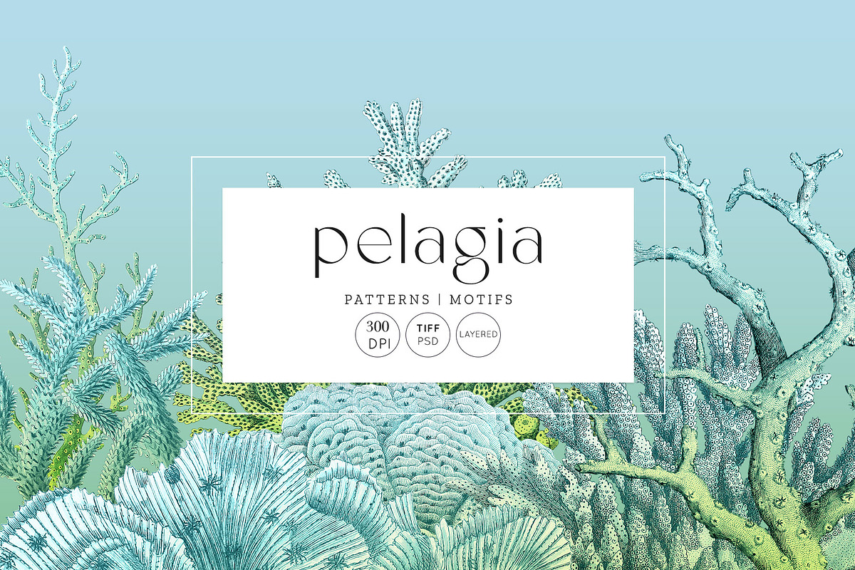 Pelagia, Luxury Coral reef Prints++, a Pattern Graphic by Pink Linen (Photo 1 of 15)