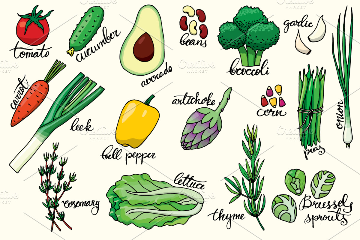 19 hand drawn vegetables + patterns, a Decorative Illustration by pixelwerk (Photo 2 of 4)