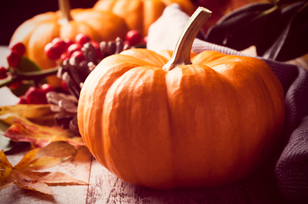 Autumn still life featuring pumpkin, background, and autumn, a Food & Drink Photo by Iryna Melnyk Photography