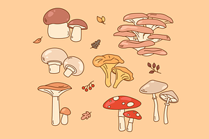 Cartoon style mushroom drawings, an Illustration by Cmeree