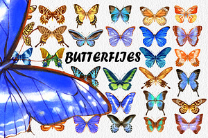 34 Watercolor Butterflies