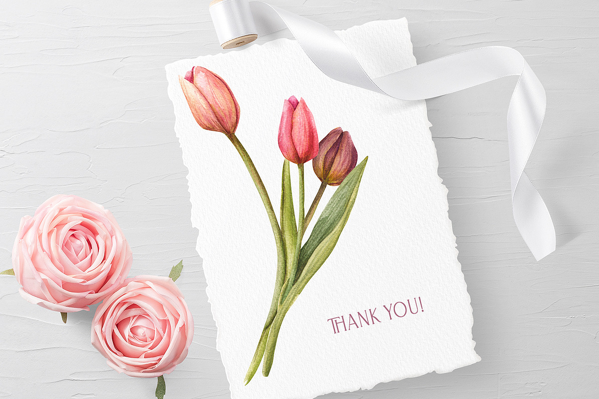 Tulips watercolor clipart, a Decorative Illustration by NatalieArtsDenysenko (Photo 4 of 4)
