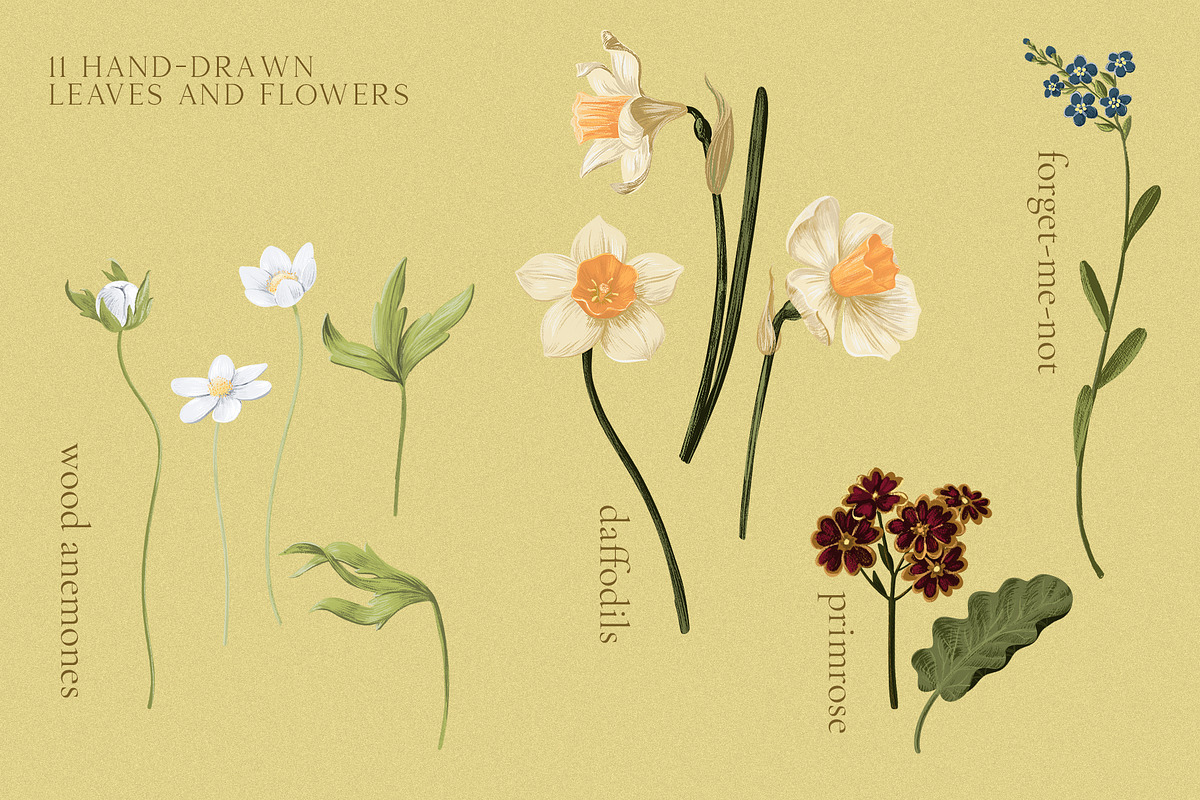 Vintage Garden Pattern Collection, a Pattern Graphic by PenguinArtStudio (Photo 2 of 8)