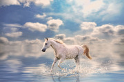 20 - Gorgeous Sky & Waters Overlays, an Object Graphic by DareToDream (Thumbnail 3 of 5)
