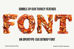 Turkey Feather 3D Font, a Font by Loudoun Design Co.