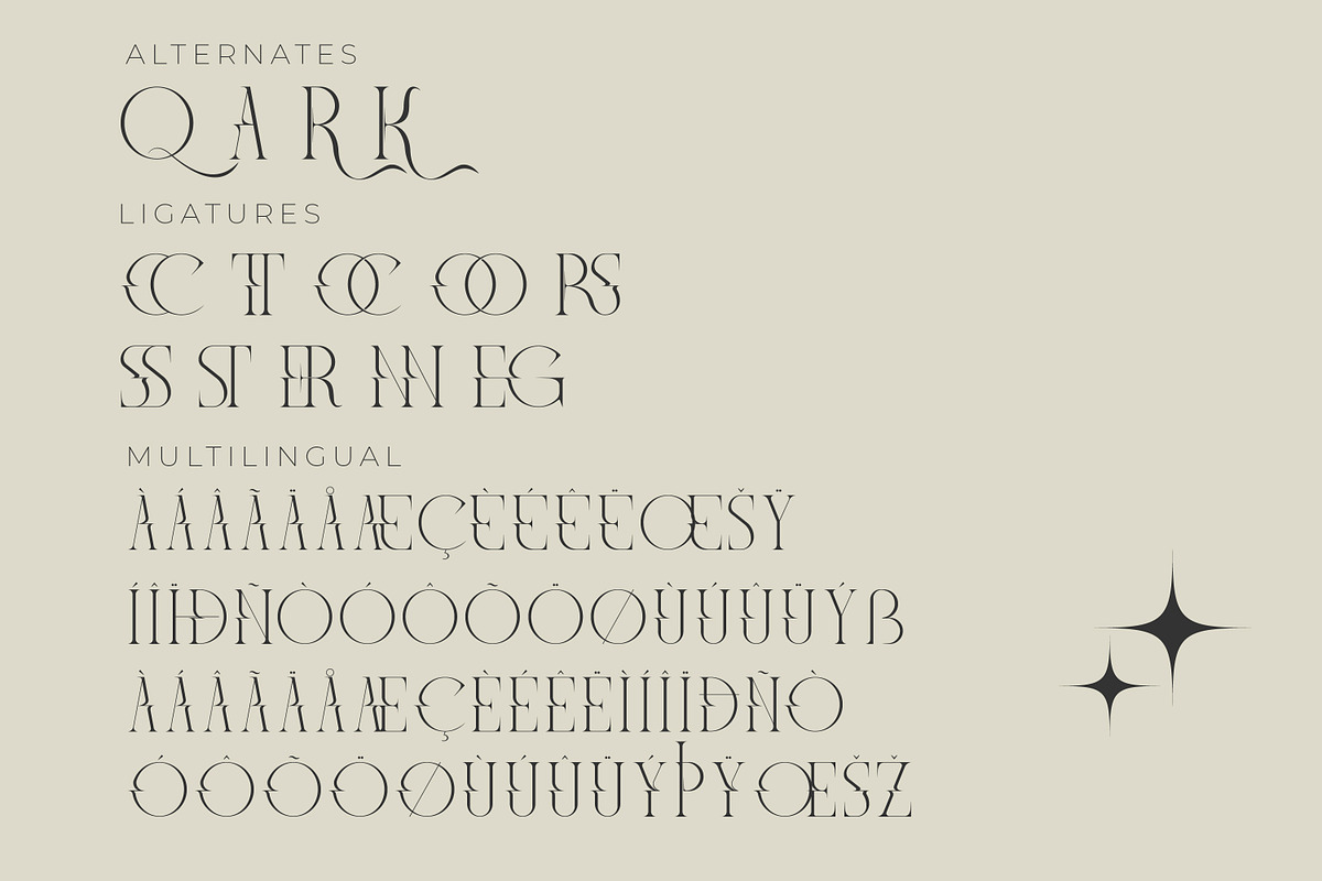 Meglona Modern and Stylish Serif, a Serif Font by Storytype Studio (Photo 11 of 12)