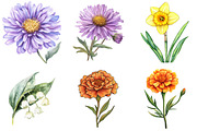 Birth Month Flower Clipart, an Illustration by Watercolor design (Thumbnail 5 of 5)
