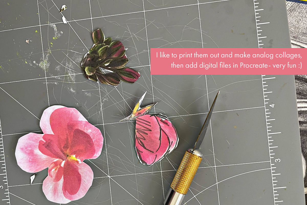 Floral Abstract Collage Kit | PNGs, a Graphic by Memow Studio (Photo 7 of 7)