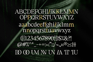 Maister//Display Serif