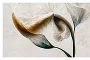 Lily Collection · Calla Lily Flowers, a Decorative Illustration by milatovar (Thumbnail 12 of 16)