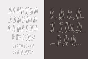 Paramaribo Font Family