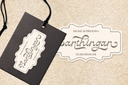 Vagodha - Retro Script, a Script Font by Sronstudio (Thumbnail 6 of 13)