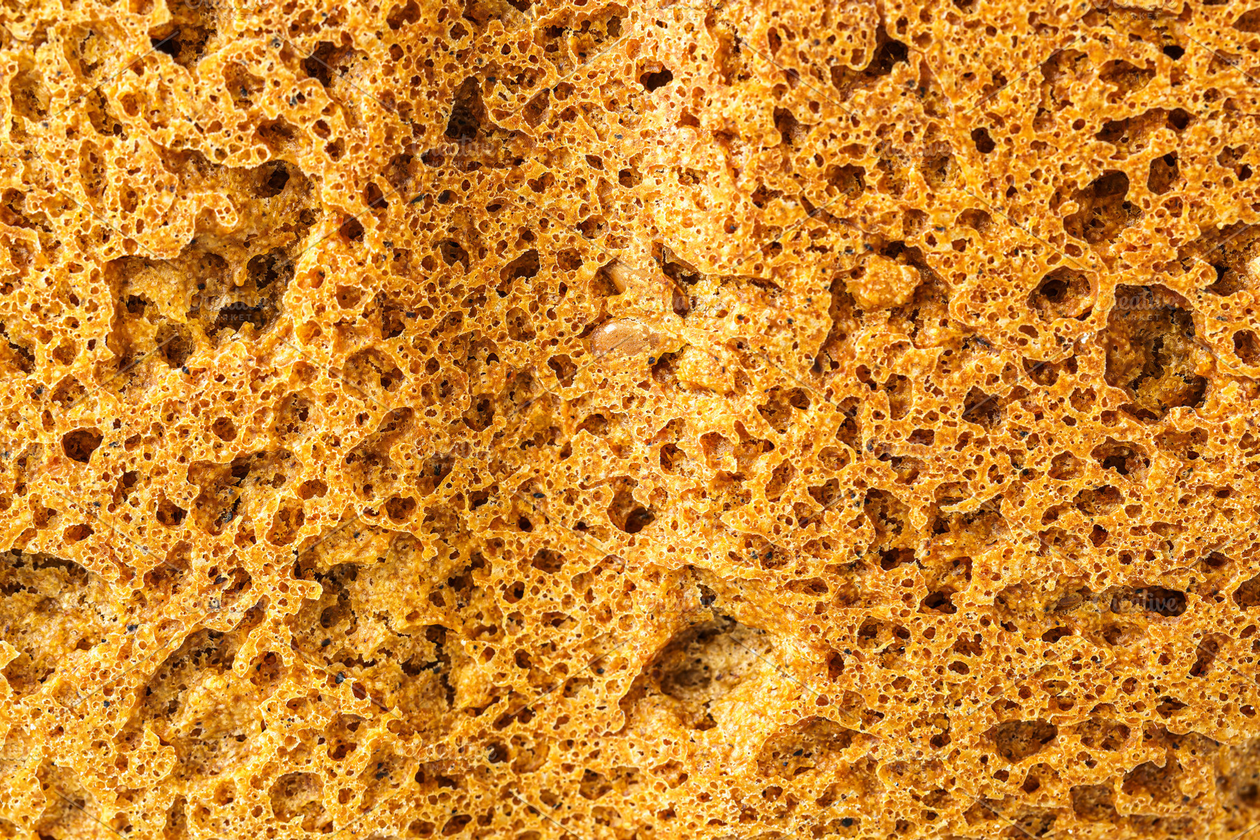 Close detailed macro view of wholesome whole grain bread texture showing the po, a Food & Drink Photo by Eugene_Photo